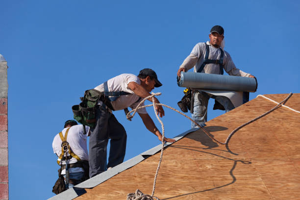 Best Roof Leak Repair  in Rossville, MD